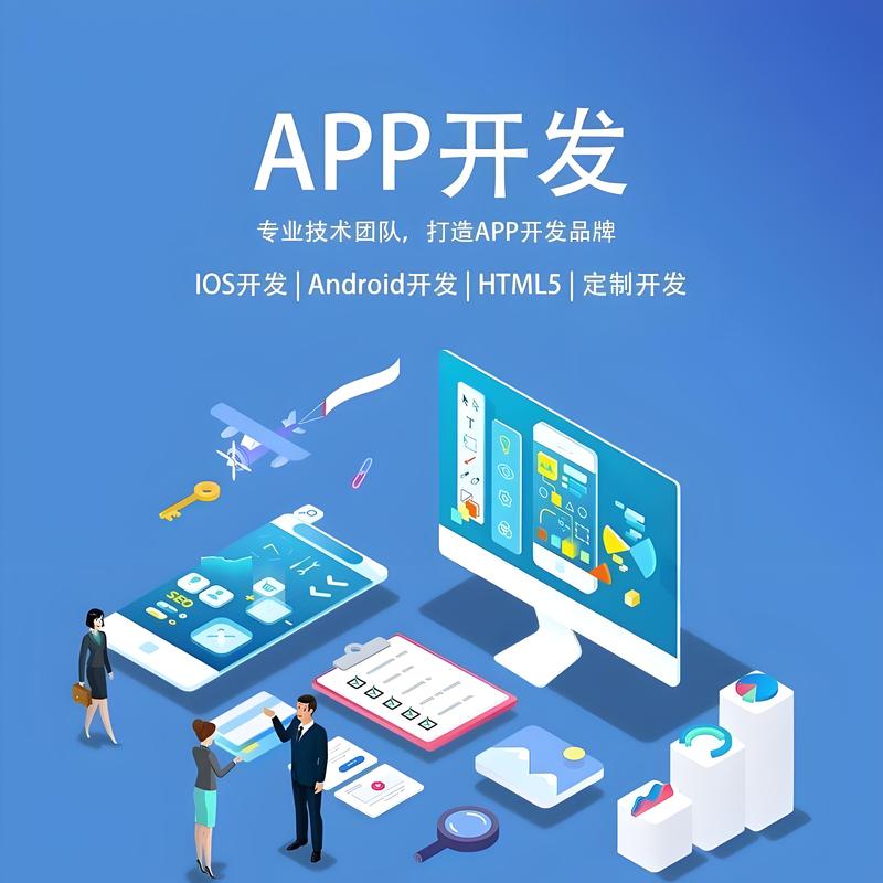 软件开发定制